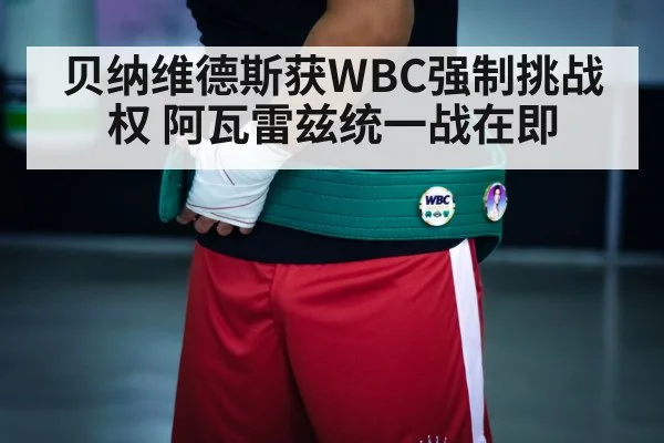 Canelo Alvarez WBC belt
