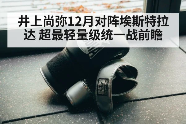 井上尚弥12月对阵埃斯特拉达 超最轻量级统一战前瞻（nine game）