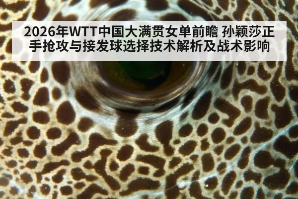 2026年WTT中国大满贯女单前瞻 孙颖莎正手抢攻与接发球选择技术解析及战术影响
