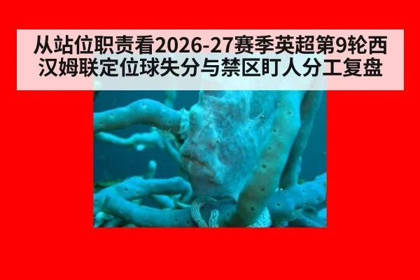 从站位职责看2026-27赛季英超第9轮西汉姆联定位球失分与禁区盯人分工复盘